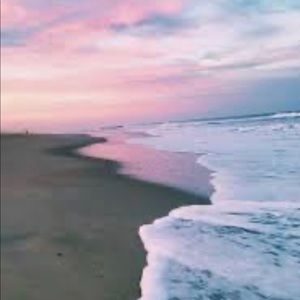 Meet your Posher, Palina